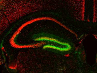 国产自拍高清图片