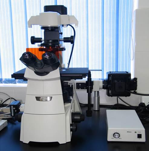 国产自拍高清图片