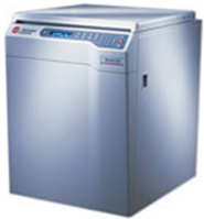 国产自拍高清图片