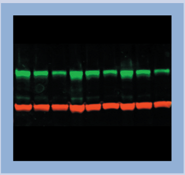 国产自拍高清图片