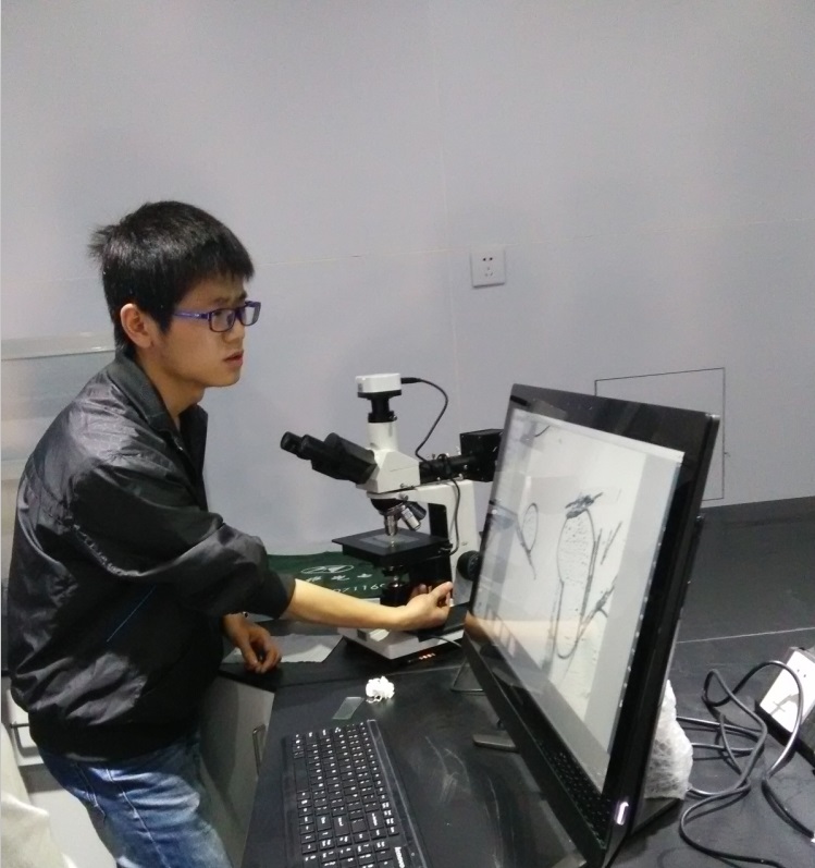 国产自拍高清图片